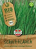 Schnittlauch - Schnittlauch Staro - Bio-Saatgut von Sperli-Samen