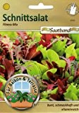 Schnittsalat Fitness Mix Saatband für Balkon & Terrasse bunt schmackhaft vitaminreich 43020 Salat