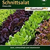 Schnittsalat Fitness Mix Salat vitaminreich