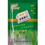 Schwarz Sojasprossen Seed * 1 Paket (50 ml) Seeds * Glycinemax * Non-GMO Erbstück * Seed Samen * Free Shipping ...