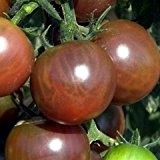 Schwarze Cherry-Tomate - süß, aromatisch - Black cherry - 20 Samen