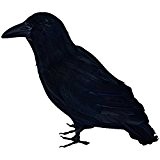 Schwarzer Rabe 30 cm mit echten Federn Tier Vogel Kostümzubehör Hexe
