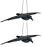 Schwarzer Rabe fliegend Kunststoff Taubenschreck Taubenabwehr Vogelschreck (2)