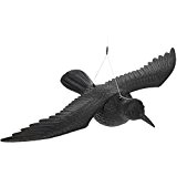 Schwarzer Rabe fliegend Kunststoff Taubenschreck Taubenabwehr Vogelschreck
