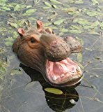 Schwimmender Tierkopf Nilpferd, mit offenem Maul, Maße: 25x15x15cm