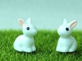 SecretRain 2 Häschen Set als Geschenk Gartendeko Puppenhaus Puppenzubehör Ausschmückung Mini-Welt Miniatur DIY Fee-Verzierung