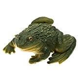 SecretRain Lebensechter Frosch aus Harz Miniatur Miniwelt als Gartendeko oder Geschenk