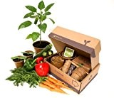 Seed Pantry Jumbo-Samen-Set für Schrebergärten, Starterset