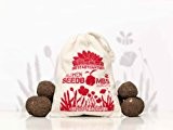 Seedbombs "Blühendes Kornfeld", 10 walnussgroße, handgemachte Samenbomben