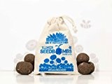 Seedbombs "Gänseblümchen", 10 walnussgroße, handgemachte Samenbomben