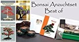 Seedeo Bonsai Anzuchtset deluxe Best of (Roter Fächerahorn , Blauregen, Japanische Kamelie)