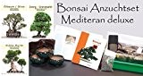 Seedeo Bonsai Anzuchtset Mediteran deluxe (Echte Myrte, Ölbaum, Zwerg Granatapfel)