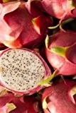 Seedeo Pitahaya / Drachenfrucht Hylocereus undatus 20 Samen