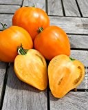 Seedeo Tomate Ochsenherz orange (Lycopersicum L.) 20 Samen