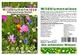 Seedeo Wildblumenwiese Kleinwüchsige Sorten