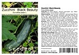 Seedeo Zucchini Black Beauty (Cucurbita pepe) 15 Samen BIO