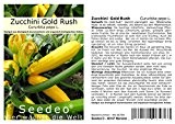 Seedeo Zucchini Gold Rush (Cururbita pepo L.) 20 samen BIO