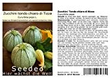 Seedeo Zucchini Tondo chiaro di Nizza (Cucurbita pepo) 15 Samen BIO