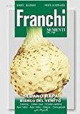Selleriesamen - Knollen-Sellerie Bianco Del Veneto von Franchi Sementi