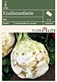 Selleriesamen - Knollensellerie Ibis von Flora Elite