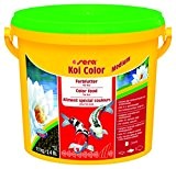 sera 07021 Koi Color Medium 3,8 Liter (4 mm) das Farbfutter für farbenprächtige, vitale Koi zwischen 12 und 25 cm