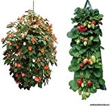 Set mit 2 Pflanzbeuteln, zum Aufhängen, für Tomaten/Kräuter/Erdbeeren, für Früchte/ Blumen