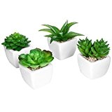 Set mit 4 Modernen weißen Keramik-Übertöpfen, Mini-Übertöpfe mit Künstlichen Sukkulenten, Topfpflanzen-Deko von MyGift