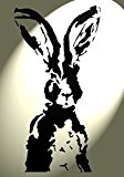 Shabby Chic Kunststoff Schablone Hase Face Kaninchen Vintage A4 297 x 210 mm Wand + Möbel DESA