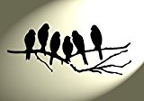 Shabby Chic Schablone 6 Vögel auf Baum Ast Rustikal Mylar Vintage A4 297 x 210 mm Art Wand