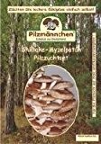 Shiitake - Myzelpatch BIO Pilzbrut Pilzzucht Pilze züchten