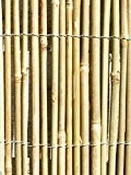 Sichtschutz aus Bambus 1,8m x 4m