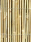 Sichtschutz aus Bambus-Stäben - 4m Rolle, 1,2m hoch