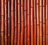 Sichtschutz aus starken roten Bambusrohren 1,8m x 1,9m