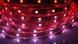 SKYFIELD® IP67 RGB Leiste hocherwertiger 5050 LEDs im Silikonschlauch für Draußen gleichmäßiges Lichtverhältnis 10x5m/Rolle