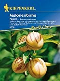 Solanum: Melonenbirne 'Pepino', Solanum muricatum - 1 Portion