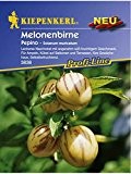 Solanum muricatum Melonenbirne Pepino