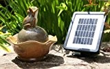 Solar Brunnen Frosch und Seerose