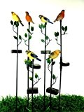 Solar-Gartenstecker Vogel im 6er Set bunte LED Solarleuchten mit Erdspieß und Vogelfigur Solarstick Gartendekoration