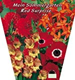 Sommerblumen Mix Red Surprise 46 Knollen