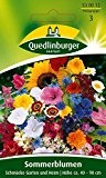 Sommerblumen Schmücke Garten und Heim von Quedlinburger Saatgut
