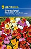 Sonstige Sommerblumen: Elfenspiegel 'Märchenzauber', Nemesia strumosa - 1 Portion