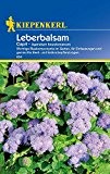 Sonstige Sommerblumen: Leberbalsam 'Capri', Ageratum houstonianum - 1 Portion