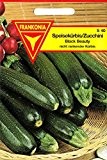 Speisekürbis, Zucchini, Black Beauty, ca. 15 Samen