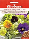 Speiseviole Tasty Viola, essbare Blüten, Balkon/Kübel geeignet, Viola wittrockiana, ca. 30 Samen