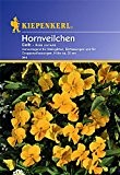 Sperli Blumensamen Hornveilchen, gelb/grün