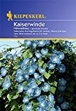 Sperli Blumensamen Kaiserwinde Ipomoea tricolor, blau/grün