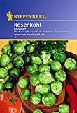 Sperli Gemüsesamen Rosenkohl Roodnerf, grün