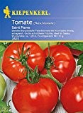 Sperli Gemüsesamen Tomaten (Fleisch) Saint Pierre, grün