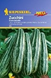 Sperli Gemüsesamen Zucchini Coucourzelle, grün