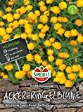 Sperli-Samen Acker-Ringelblumen Frühlingssonne